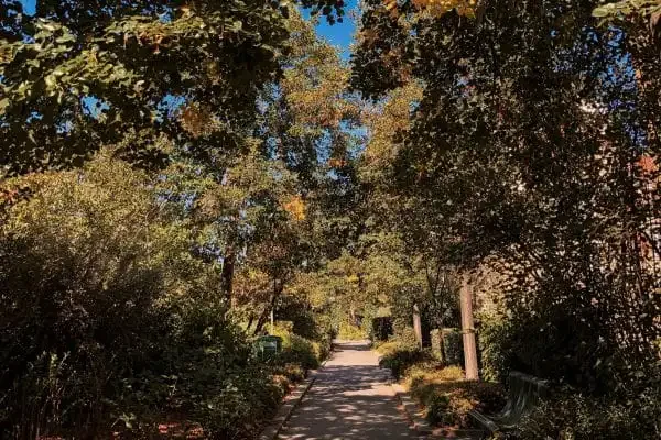 la coulee verte de paris